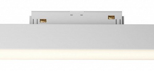 Трековый светильник Maytoni Basis TR074-2-12W3K-W