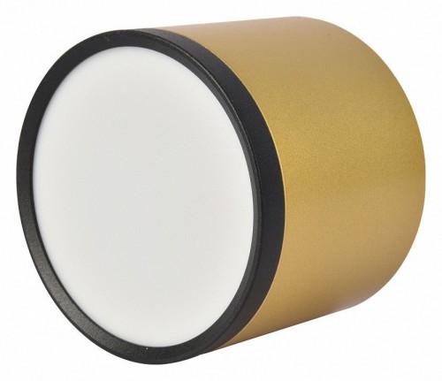 Потолочный светильник Favourite Baral 3082-2C Потолочный светильник Favourite Baral 3082-2C