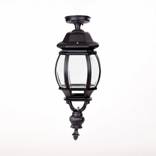 Потолочный светильник уличный Oasis Light AMERICA L 83405LA Bl