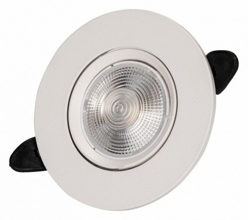 Точечный светильник Zortes Raiz ZRS.57795.10