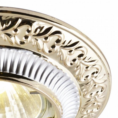 Точечный светильник Arte Lamp Occhio A5280PL-1SG