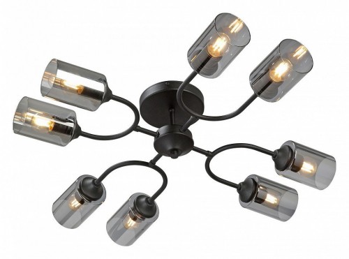 Потолочная люстра Vitaluce V2823-1/8PL Потолочная люстра Vitaluce V2823-1/8PL