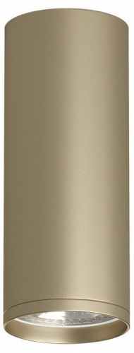 Накладной светильник Denkirs TUBE DK2051-SG Накладной светильник Denkirs TUBE DK2051-SG