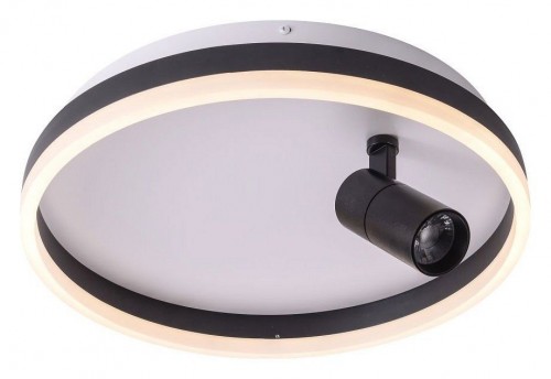 Потолочный светильник Zortes Raizy ZRS.1888.03