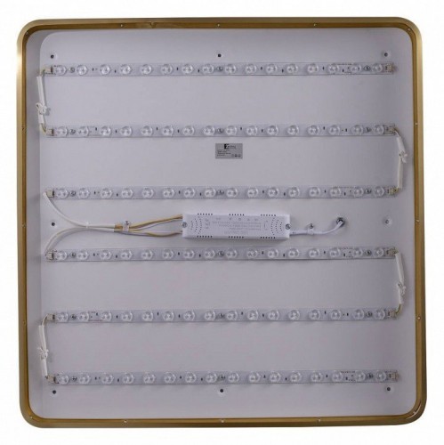 Потолочный светильник Zortes Monna ZRS.1209.07