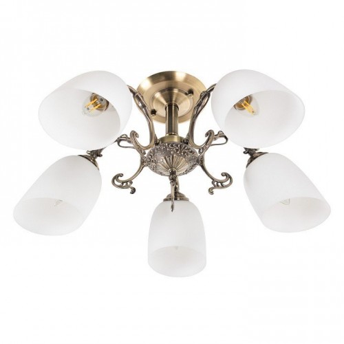 Потолочная люстра MyFar Biene MR1521-5C