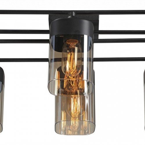 Потолочная люстра Vitaluce V3092-1/6PL