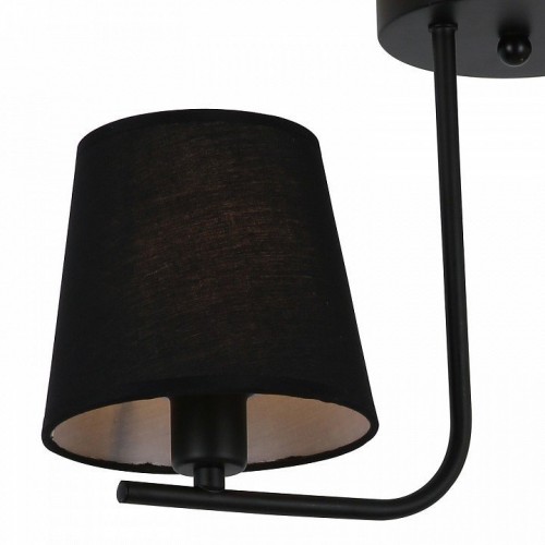 Потолочная люстра Illumico IL8134-2COU-79 BK Beti