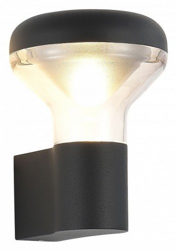 Уличный настенный светодиодный светильник ST Luce Drop SL9541.701.01