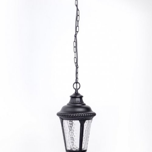 Уличный светильник подвесной Oasis Light 79755S Bl