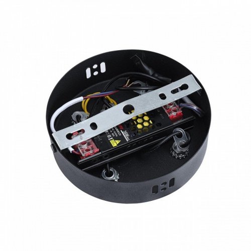 Подвесная люстра Lumion Vinora 8341/42L