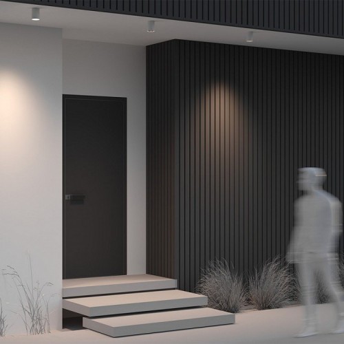 Потолочный светильник уличный Maytoni Luxe O500CL-L10W3K