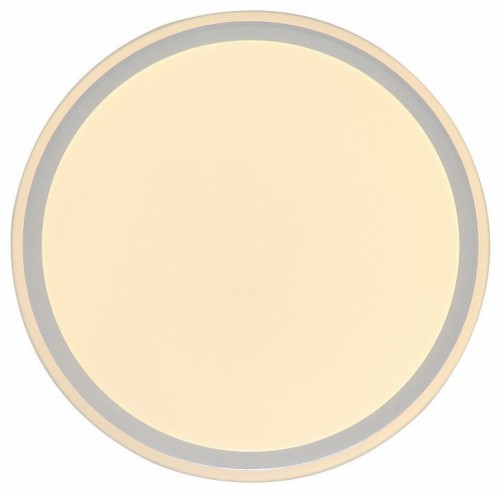 Потолочный светильник Zortes Bella ZRS.1200.07