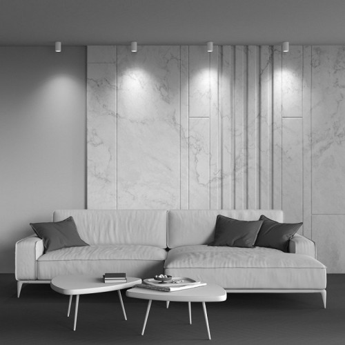 Потолочный светильник Maytoni Technical Zoom C029CL-01-S-W