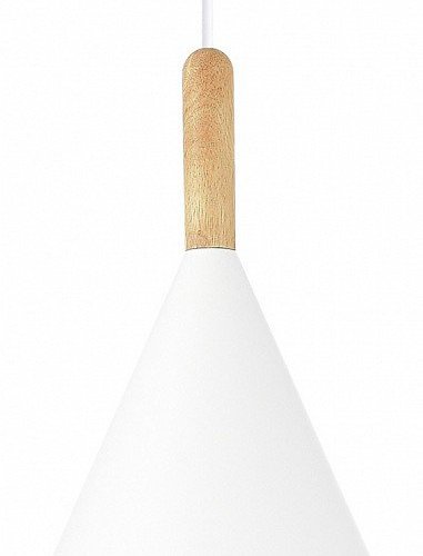 Подвесной светильник EVOLUCE Arket SLE1255-503-01