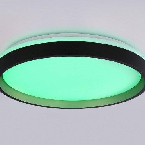 Накладной светильник Ambrella Light FZ FZ610