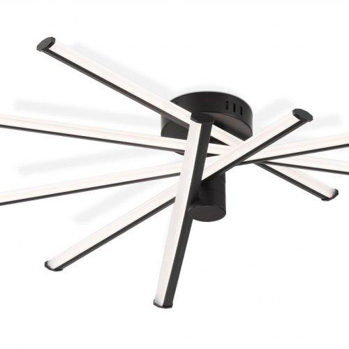 Потолочная люстра Comfort FL6222