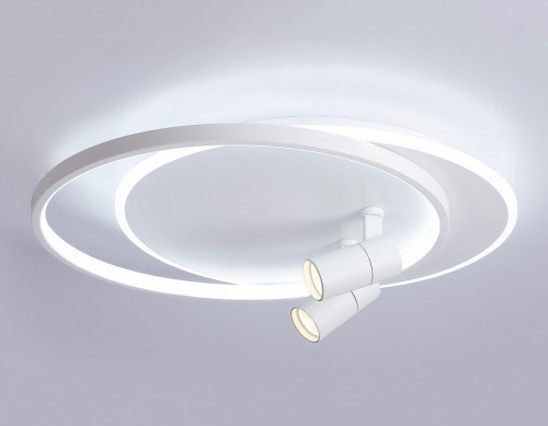 Накладной светильник Ambrella Light FL FL51391