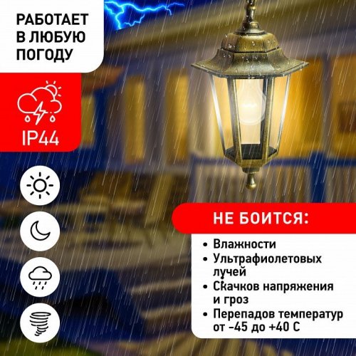 Подвесной светильник Эра  НСУ 06-60-001 бронза