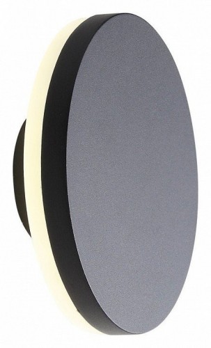 Уличный настенный светодиодный светильник ST Luce Mango SL087.401.01