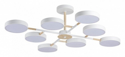 Потолочная люстра Lumion Brad 5653/99CL