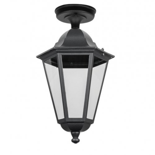 Потолочный светильник уличный Oasis Light PETERSBURG ECONOM 79805EA Bl