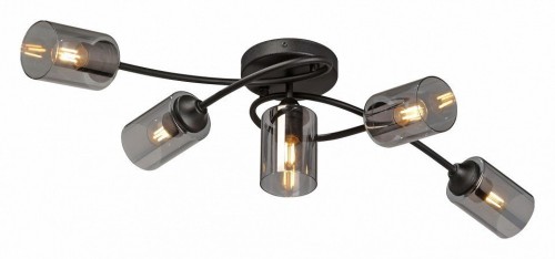 Люстра Vitaluce V2048-1/5PL