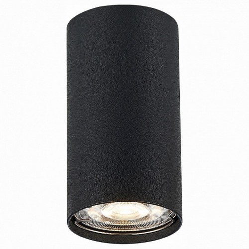 Потолочный светильник ST Luce ST110.407.01 Потолочный светильник ST Luce ST110.407.01