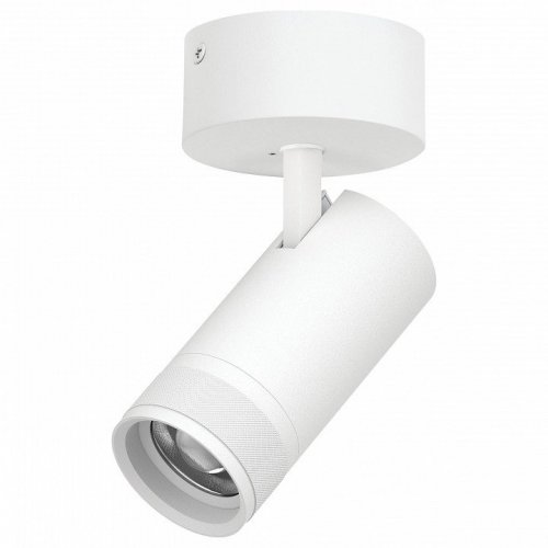 Спот Lightstar Canno Pro C4306SO