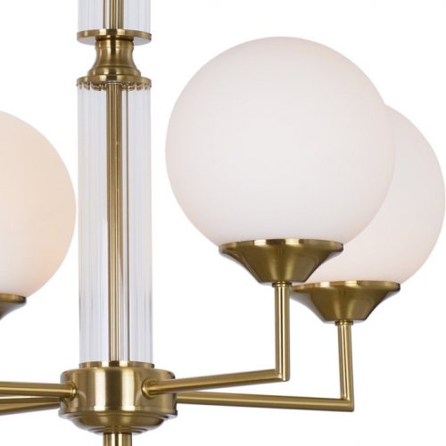 Подвесная люстра Illumico IL5196-8RLS-24 Подвесная люстра Illumico IL5196-8RLS-24