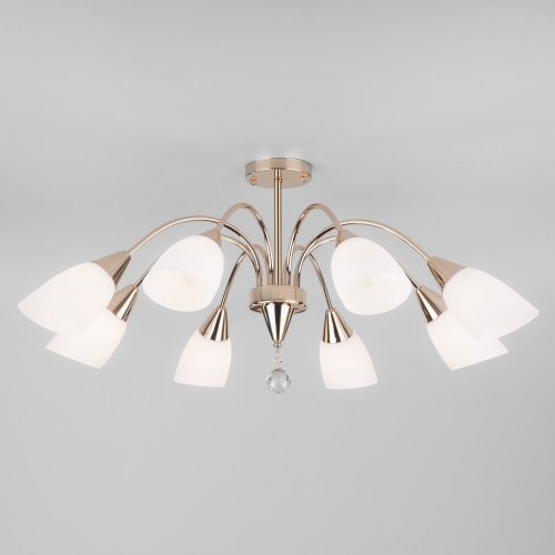 Потолочная люстра Eurosvet Ellene 30149/8