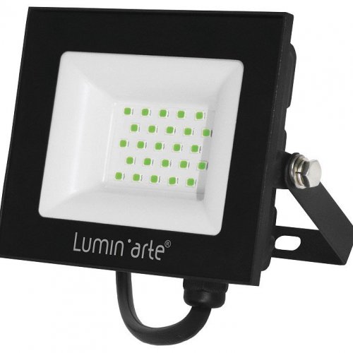 Настенно-потолочный прожектор Luminarte LFL LFL-30W/07