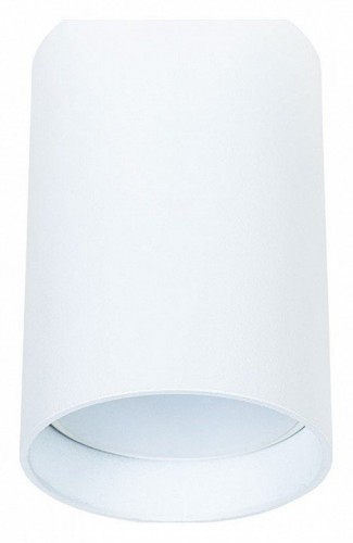 Потолочный светильник Arte Lamp Beid A1517PL-1WH