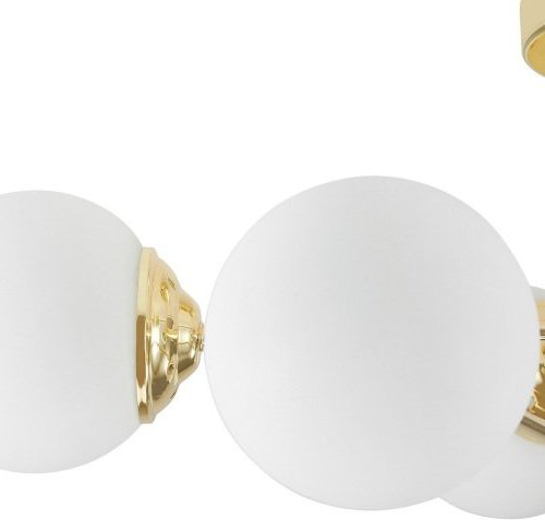 Потолочная люстра Fino TC 2003-6 GD Потолочная люстра Fino TC 2003-6 GD