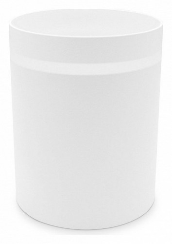 Точечный светильник Ambrella light TECHNO SPOT TN3202