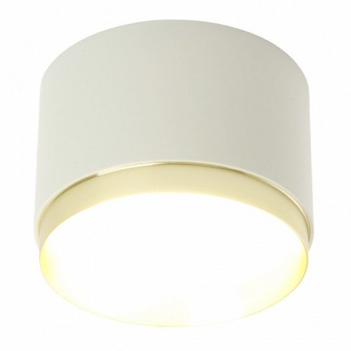 Накладной светильник Feron  52022