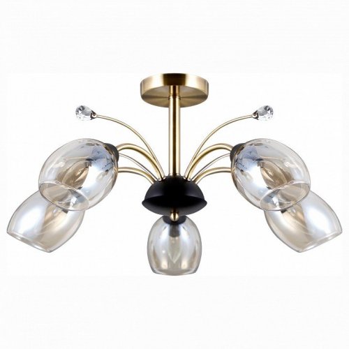 Потолочная люстра Citilux Комета CL108155 Потолочная люстра Citilux Комета CL108155