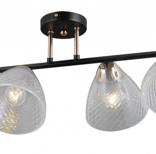 Потолочная люстра  IL0739-4CSQ-24 BK FGD ARIES Потолочная люстра  IL0739-4CSQ-24 BK FGD ARIES