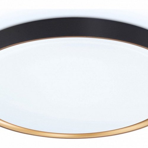 Потолочный светодиодный светильник Ambrella light Orbital Air FZ1249