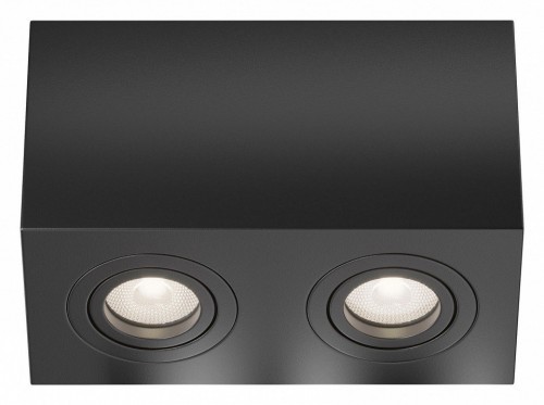 Потолочный светильник Maytoni Technical Atom C017CL-02B