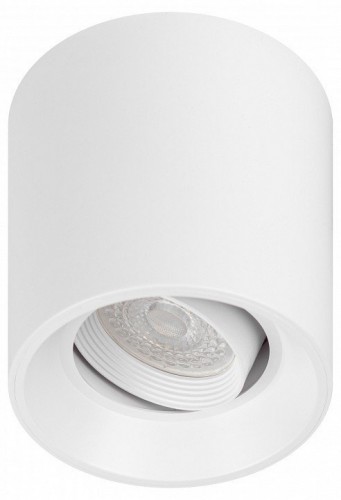 Накладной светильник Эра OL25-1 WH Б0054383 Накладной светильник Эра OL25-1 WH Б0054383