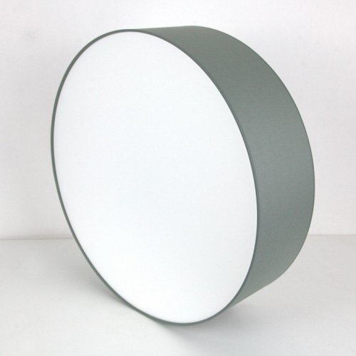 Потолочный светильник Lighthall Camerona 65 LH022028