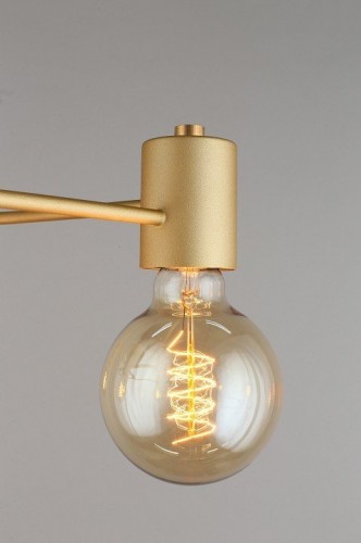 Потолочная люстра Aployt Elison APL.911.07.05