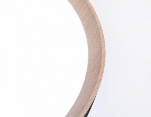 Накладной светильник Ambrella FZ FZ1326