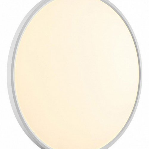 Настенно-потолочный светодиодный светильник Sonex Mitra Alfa White 7659/48L