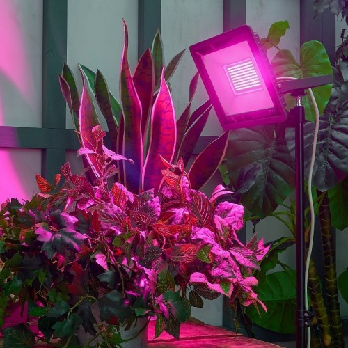 Настенно-потолочный прожектор для растений Uniel ULF-P42 UL-00010385 Настенно-потолочный прожектор для растений Uniel ULF-P42 UL-00010385