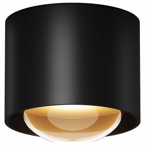 Потолочный светильник уличный Maytoni Lumina O498CL-L15B3K