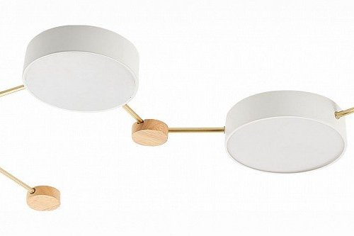 Потолочная люстра Evoluce Dossena SLE600102-04 Потолочная люстра Evoluce Dossena SLE600102-04