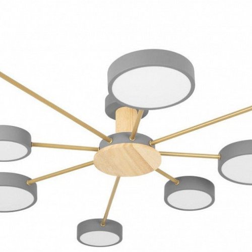 Потолочная люстра Loft IT Sunrise 10316/8 Grey
