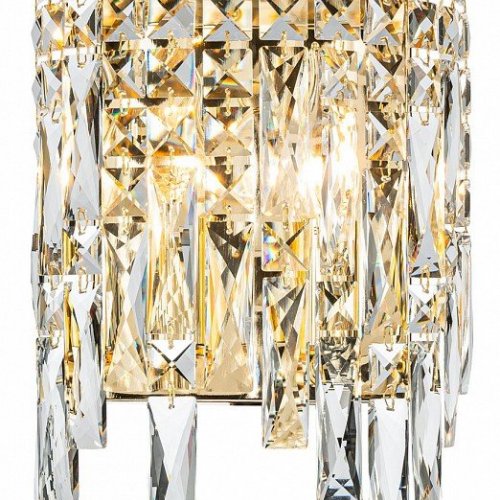 Накладной светильник Indigo Carletti 12041/2W Gold